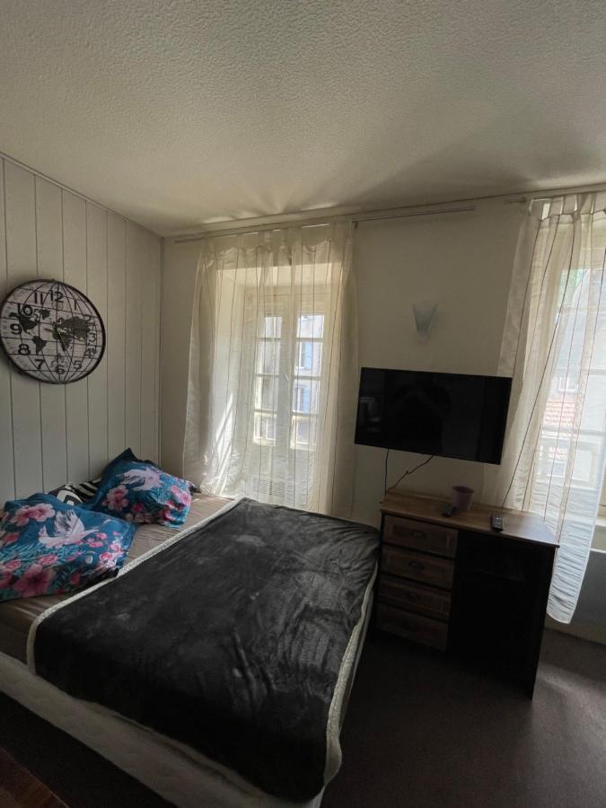 Superbe Appartement Au Bord De La Riviere Ax-les-Thermes Kültér fotó